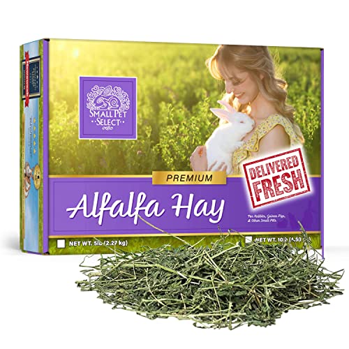 Small Pet Select Alfalfa Hay Pet Food For Young  Rabbits, Guinea Pigs , Chinchillas, Tortoises And Other Small Animals, Easy To Store Box, 5 LB