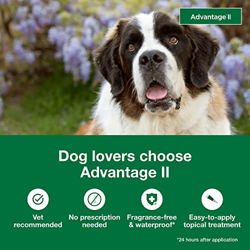  Advantage II XL Dog Vet-Recommended Flea Treatment & Prevention | Dogs Over 55 Lbs. | 4-Month Supply