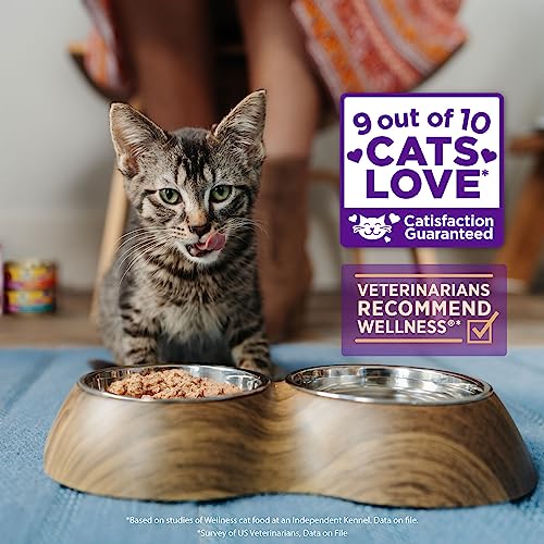  Wellness CORE Grain-Free Wet Kitten Food, Natural Canned Food For Cats, Made With Real Meat (Kitten, Turkey & Chicken Liver, 3 Oz Can, 12 Pack)