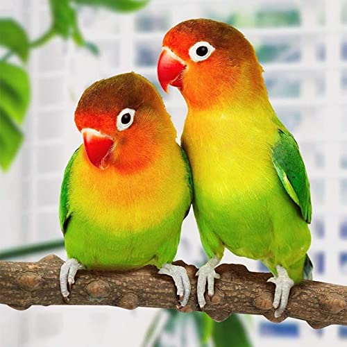  JYDQM 4Pcs/Set Pet Bird Chew Toys Parrot Perches Cage Ladders Stand Paw Grinding Toys For Parrot Bites Pet Product