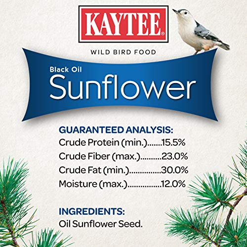  Kaytee Wild Bird Black Oil Sunflower Food, 5 Pounds