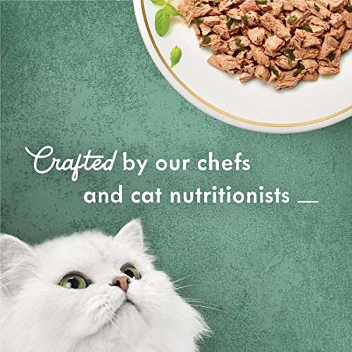  Purina Fancy Feast Wet Cat Food, Medleys Shredded Wild Salmon Fare With Spinach In A Savory Cat Food Broth - (24) 3 Oz. Cans