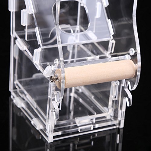  FILFEEL Automatic Bird Feeder, Acrylic Pet Birds Seeds Food Feeder Cage Toy Transparent Healthy Pet Simply Feed