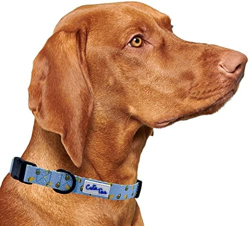  CUTIE TIES Dog Collar Breakfast Club – Durable Nylon Material - Premium Quality Collars For Dogs - Cute Dog Collars In Three Sizes (Breakfast Club, Medium (13" - 20"))
