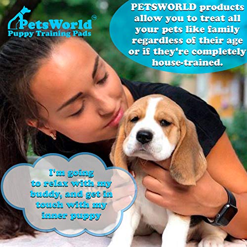  Dog Training Puppy Pads 23x36, Case Of 100 Dog Pee Pads, Basics Doggy Pee Pad, Good For Dog Food Wet, Large Dog Bed, Diaper Changing Pad, Cat Beds Clearance Prime