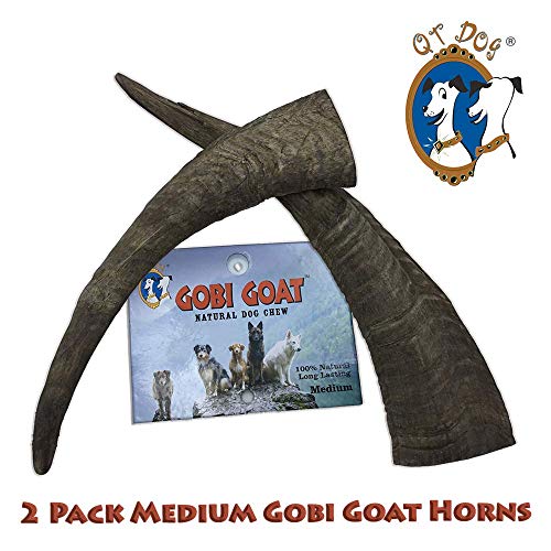  QT Dog Gobi Goat Horn Medium - 2 Pack, Brown