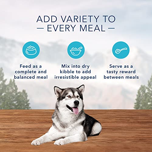  Blue Buffalo Wilderness High Protein Natural Adult Wet Dog Food Plus Wholesome Grains, Beef & Chicken Grill 12.5-oz Cans (Pack Of 12)