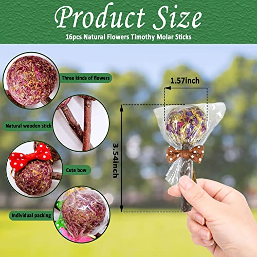  16 Pcs Rabbit Natural Timothy Hay Sticks Guinea Pig Natural Flowers Lollipop Chew Toys Timothy Hay Sticks Wood Molar Toys Small Animal Chew Treats For Bunny Hamsters Chinchillas Gerbils