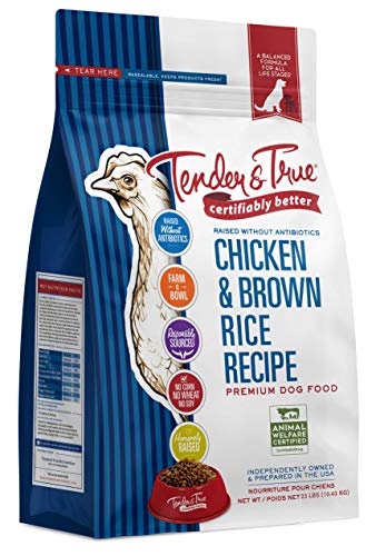  Tender & True Antibiotic-Free Chicken & Brown Rice Recipe Dog Food, 23 Lb