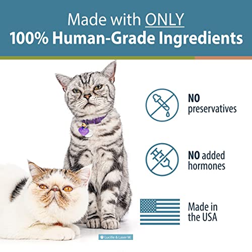 JustFoodForDogs JustFoodForCats Salmon Treats - Fresh Cat Treats 5 Oz - Whole Food Treat Snacks For Kittens & Cats - No Preservatives, No Hormones Added, Lean, Low Fat, USA Made - BPA - Free Packaging