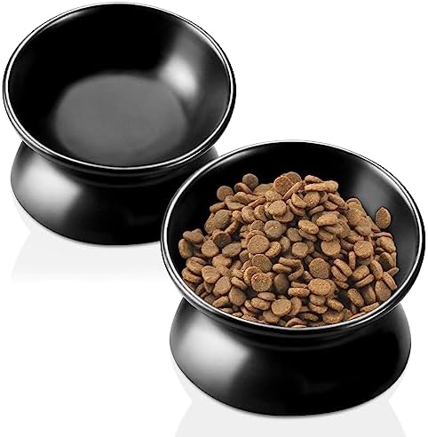 GENERIC PAILUOMU Ceramic Raised Cat Bowl, Set 2 Tilted Elevated Pet Food And Water Bowls, Stress Free Cat Dog Feeder Dish, Suitable For Small, Medium Cats And Dogs,White
