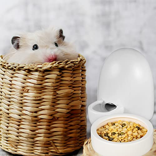  Yardwe Rabbit Food Rabbit Food 3pcs Hamster Hedgehog Feeders Chinchilla Small Guinea Pig Food Feeder Water Feeding Container Set Squirrel Food Pet Water Dispenser