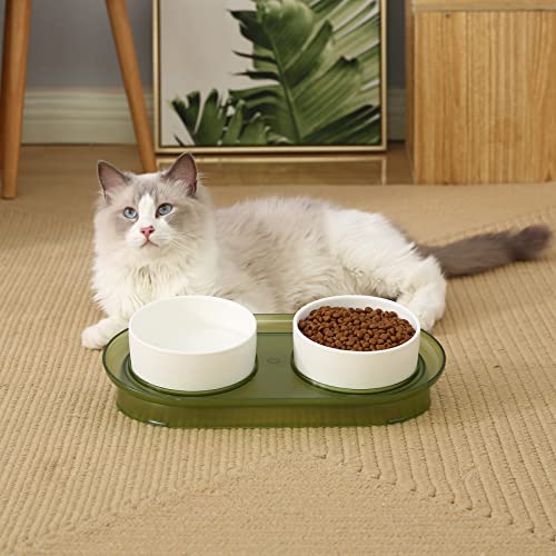  Elevated Cat Ceramic Bowls For Cats Small Dogs Or Puppies Raised Cat Bowl Stand With 2 Feeding Dishes For Food & Water 15° Tilted Anti Vomiting Stress Free Design With Anti-Slip (Tea Green)