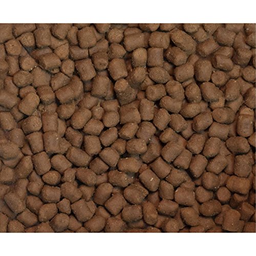  Wysong Ferret Epigen 90 - Starch Free Dry Natural Food For Ferrets, Four- 5 Pound Bags, Model:WDFE9020
