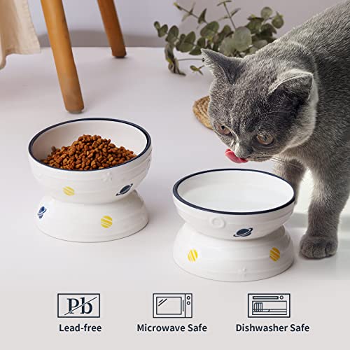  Hasense Tilted Cat Bowl Anti Vomiting, Double Raised Cat Bowls For Food And Water, Elevated Ceramic Small Dog Feeder, Protect Pet's Spine, Dishwasher Safe, Porcelain Slanted Dishes, White Set Of 2