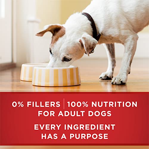  Purina ONE Tender Cuts In Wet Dog Food Gravy Chicken And Brown Rice Entree - (12) 13 Oz. Cans