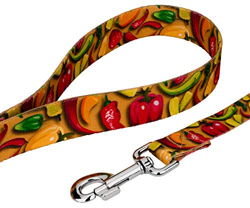  Country Brook Petz - Deluxe Scorching Peppers Dog Collar And Leash Limited Edition - Tasty Collection With 5 Yummy Designs (1/2 Inch, Extra Small)