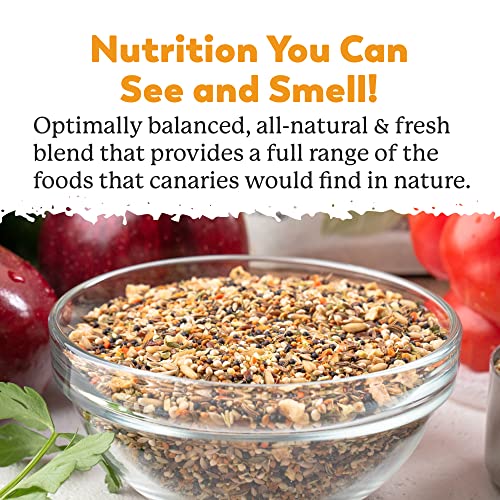  Dr. Harvey's Incredible Canary Blend, Natural Food For Canaries (4 Pounds)