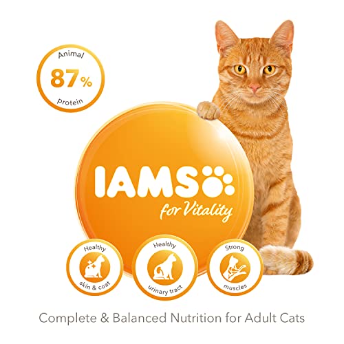  Rapchel Iams Proactive Health Complete And Balanced Cat Food With New Zealand Lamb And