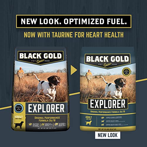  Black Gold Explorer Dry Dog Food For Adult Dogs, Original Performance 26/18 Formula, 50 Lb Bag
