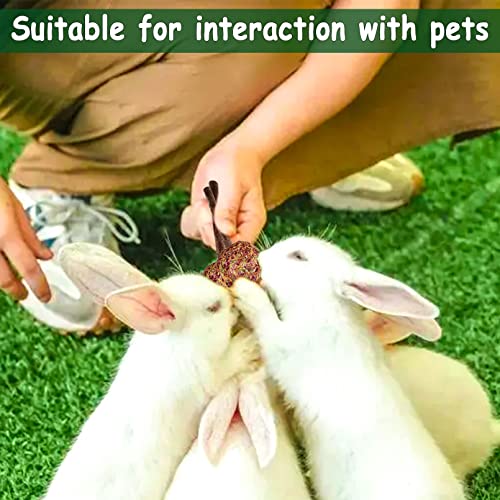  16 Pcs Rabbit Natural Timothy Hay Sticks Guinea Pig Natural Flowers Lollipop Chew Toys Timothy Hay Sticks Wood Molar Toys Small Animal Chew Treats For Bunny Hamsters Chinchillas Gerbils