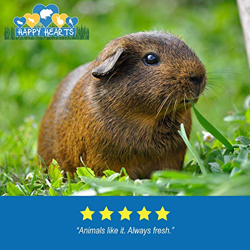  Happy Hearts Total Blend Alfalfa Based Guinea Pig Food Pellets Fortified With Vitamin C (10 Pounds)
