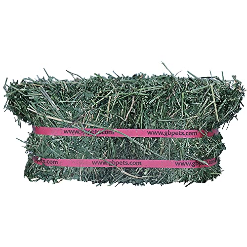  Grandpa's Best ALF10 10 Lb Alfalfa Hay Bale (Packaging May Vary )