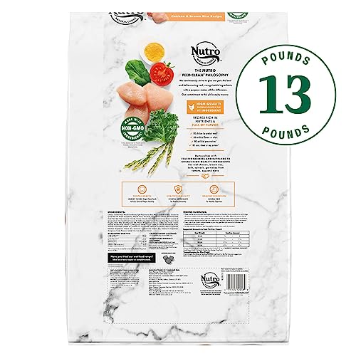  NUTRO NATURAL CHOICE Small Breed Adult Dry Dog Food, Chicken & Brown Rice Recipe Dog Kibble, 13 Lb. Bag