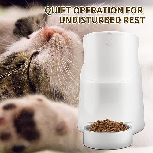  LZHPET Automatic Cat Feeders, 5L Timed Dry Food Dispenser, Up To 7 Meals Per Day, Unclogging Design, Desiccant Bag、Stainless Steel Bowl Included, 20-Second Voice Recording, For Cats/Small Dogs, White