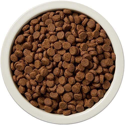  Amazon Brand - Wag Dry Dog Food Salmon & Sweet Potato, Grain Free 4 Lb Bag