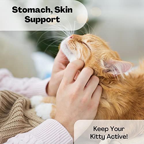 Purina Cat Chow Gentle Sensitive Skin And Stomach Bundle | Includes 2 Bags Of Purina Gentle Cat Food Turkey Flavor (3.15 LB) | Plus Paw Food Scoop!