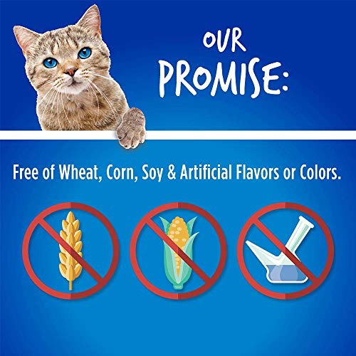  Fruitables Cat Treats – Crunchy Treats For Cats – Healthy Low Calorie Treats Packed With Protein – Free Of Wheat, Corn And Soy – Made With Real Chicken With Blueberry – 30 Ounces