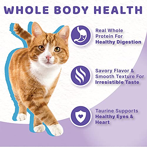  Halo Indoor Wet Cat Food, Grain Free, Seafood Medley 5.5oz Can (Pack Of 12)