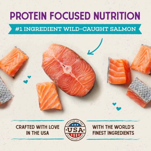  Stella & Chewy’s Raw Coated Premium Kibble Cat Food – Grain Free, Protein Rich Meals – Wild Caught Salmon Recipe – 5 Lb. Bag