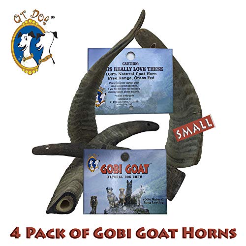 4 Pack Of Gobi Goat Horns Small Long Lasting 100% Natural Gobi Desert Goat Horn Dog Chews With Marrow