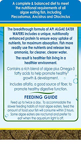  (2 Pack) API Algae Eater Alage Wafer, 6.4-Ounce Jars