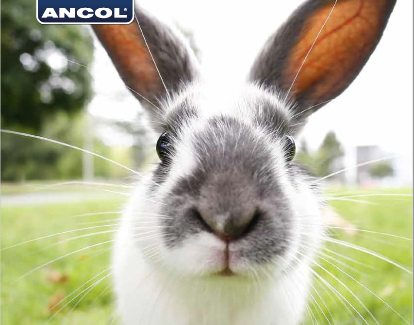  Ancol Small Animal Treat Ball