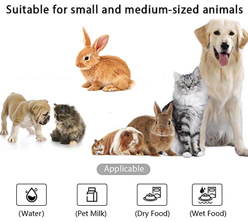  Stainless Steel Dog Cat Bowls, 4 Pack Shallow Cat Dishes For Food And Water, Metal Whisker Relief Pet Bowl For Small Dogs And Cats, 12oz