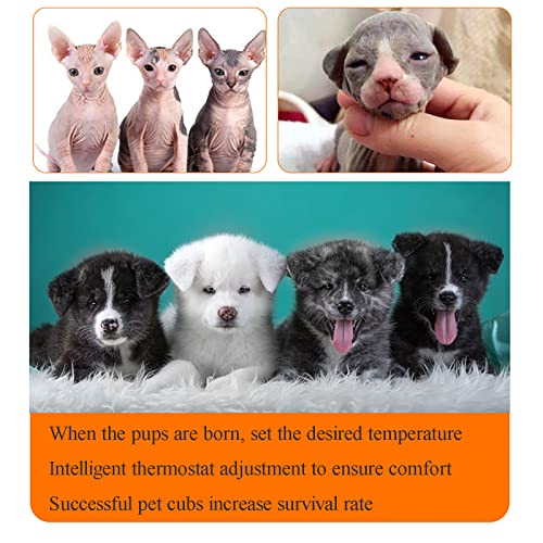  JUHAIYUAN Dog Incubator For Puppies, Puppy Incubator, Pet Incubator Box, Large PET Brooder Nursery Dog, Specially Designed For Pet Pups, 24X24X39 Inch