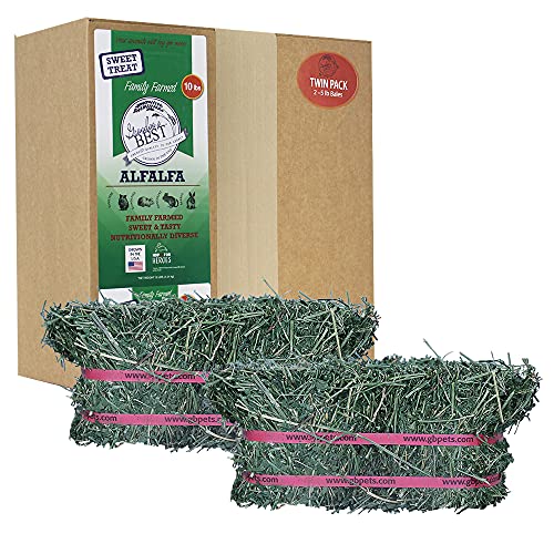  Grandpa's Best ALF10 10 Lb Alfalfa Hay Bale (Packaging May Vary )