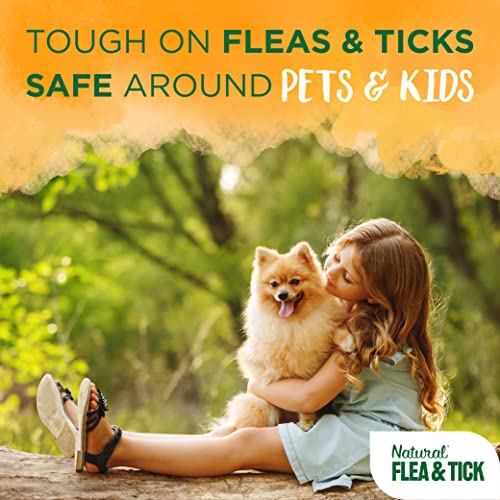  TropiClean Soothing Natural Flea And Tick Dog Shampoo | Natural Flea And Tick Prevention For Dogs | Made In The USA | 20oz