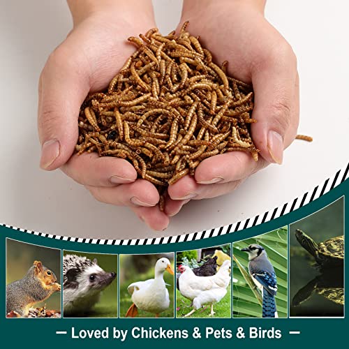  WORKPOINT 22LBS Dried Mealworms For Chickens, 100% Natural Premium Quality Non-GMO, Treats For Poultry, Chickens, Ducks And Geese