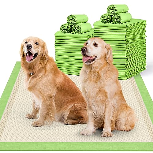  MIZOK Bamboo Dog Pads Odor Eliminating 36x36in XXXL Dog Training Pads, 11 Cups Super Absorbent Leak-Proof Dog Pee Pads With Adhesive Tabs, Disposable Green Color (30 Counts)