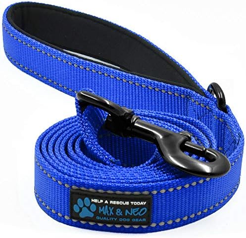  Max And Neo Reflective Nylon Dog Leash - We Donate A Leash To A Dog Rescue For Every Leash Sold (Purple, 4x1)