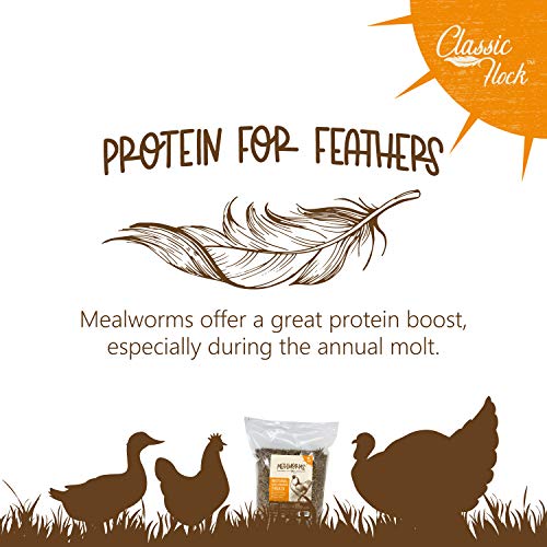  Classic Flock 5LB Dried Mealworms Non-GMO High Protein Treats For Chicken, Wild Birds, Ducks, Fish, Hedgehogs, Lizards, Reptiles
