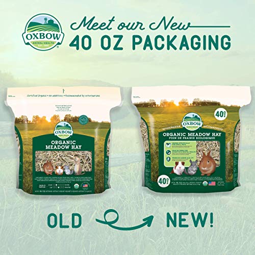  Oxbow Animal Health Meadow Hay - All Natural Hay For Rabbits, Guinea Pigs, Chinchillas, Hamsters & Gerbils - 40 Oz.