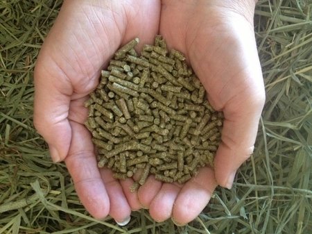  Small Pet Select Rabbit Food Pellets - 5 Pounds Delivered Fresh