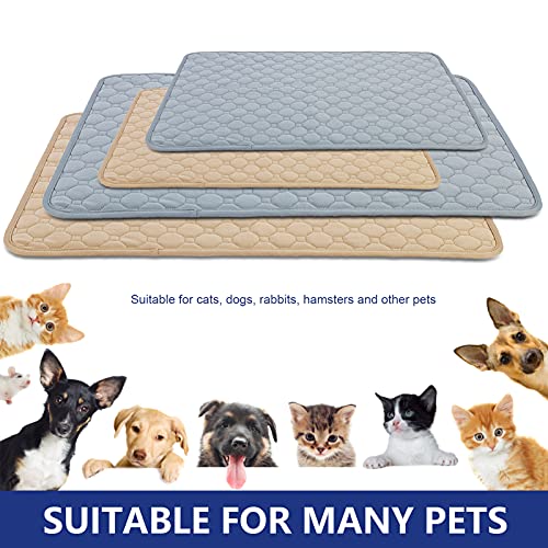  SONGBIRDTH 2Pcs Dog Training Pads Washable Waterproof Dog Pad, Reusable Travel Mats With Anti-Slip Bottom For Puppies Cats Rabbits Khaki M