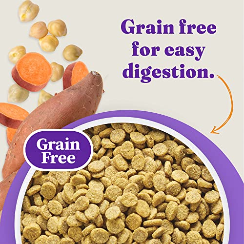  Halo Holistic Dog Food, Complete Digestive Health Grain Free Cage-Free Chicken And Sweet Potato Recipe, Dry Dog Food Bag, Senior Formula, 3.5-lb Bag