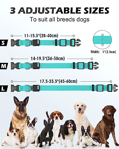  Joytale Light Up Dog Collars Rechargeable, High Visibility LED Dog Collar for Pet Night Walking, 3 Flash Modes, Rainproof PVC Glow Collar Adjustable for Small Medium Large Dogs, Teal, L